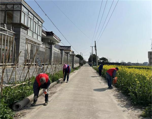 南通市西亭镇八总桥村：党建引领基层治理 网格助力人居环境