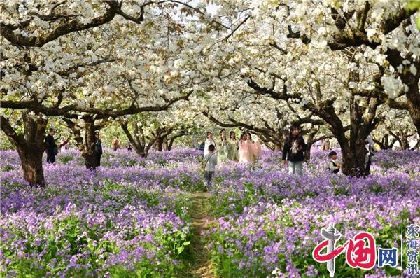 宿迁市三台山国家森林公园：沐浴春光 畅游花海