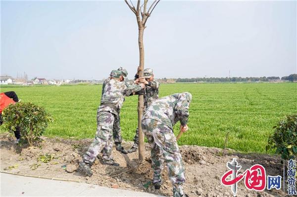 兴化周庄：植树添绿正当时 退役军人齐参与