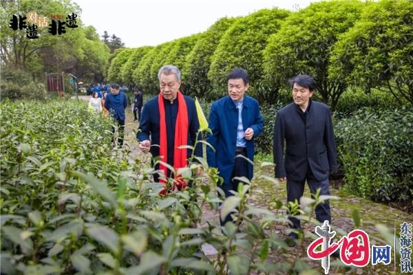 雷火竞技注册非遗对话非遗——共饮一壶春 宜兴紫砂对话中国茗茶活动在丁蜀举行(图4)