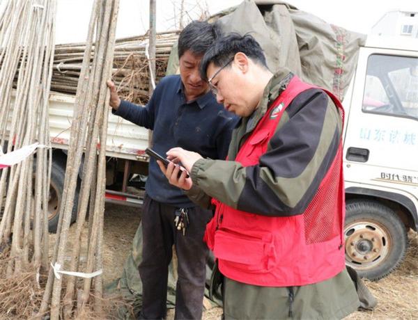 山东莒县：规范种植“小树苗”刹住耕地“种树潮”