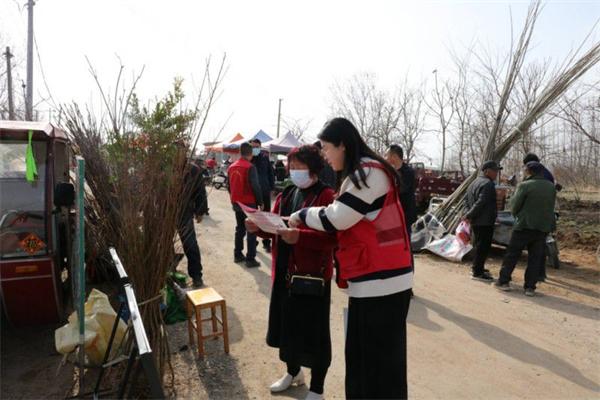 山东莒县：规范种植“小树苗”刹住耕地“种树潮”