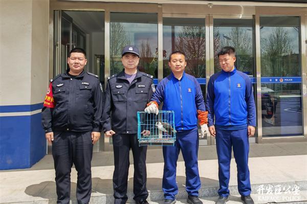 山西晋城：国家二级保护动物“长腿鹬”受伤 民警与消防队热心救助