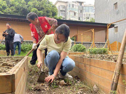 成都双流黄甲：让“方寸地”成为“百草园”