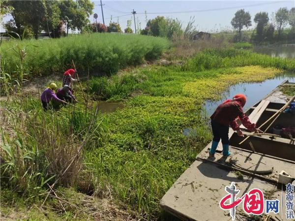 兴化沈伦：河长制春季水环境整治行动