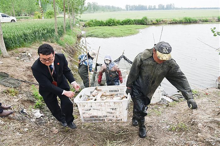 盱眙法院：直击执行现场 强制腾退鱼塘