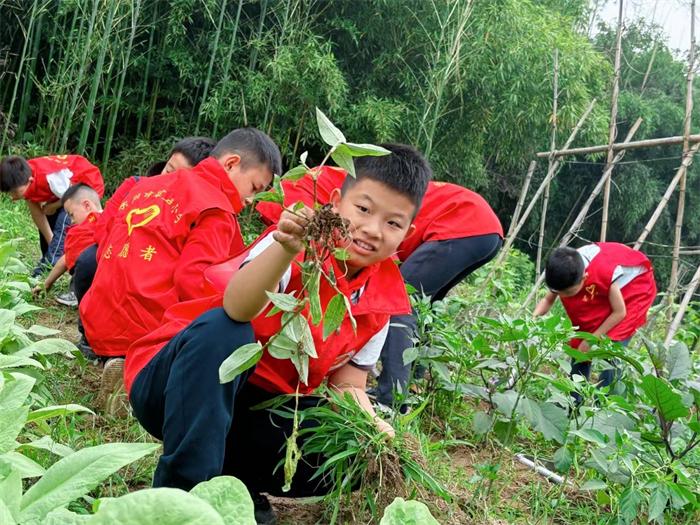 让“德育”的种子在黑土地上开花