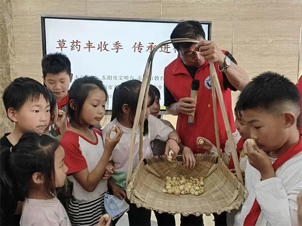 东阳市东阳江镇中心小学：草药丰收季 传承进行时