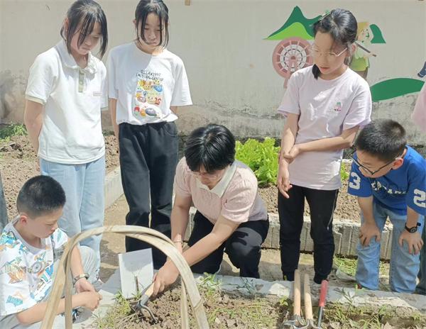 东阳市东阳江镇中心小学：草药丰收季 传承进行时