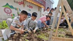 东阳市东阳江镇中心小学：草药丰收季 传承进行时