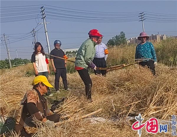 兴化市安丰镇：人大代表履职尽责 助推秸秆禁烧禁抛