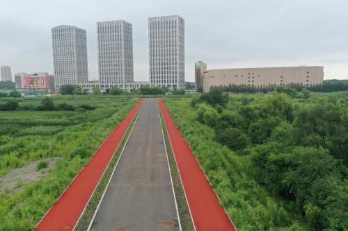 在松花江畔 铺就民生“幸福路”