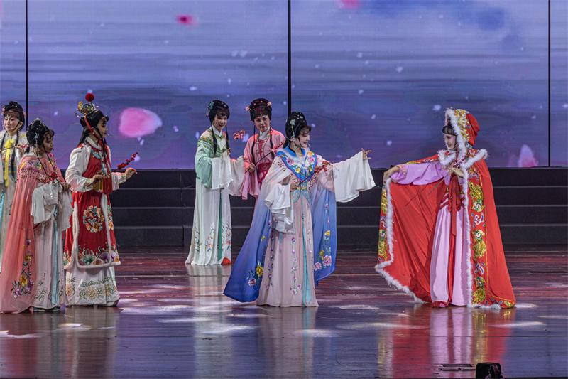 南京市文化馆老年大学第五届校园文化艺术展演成功举办