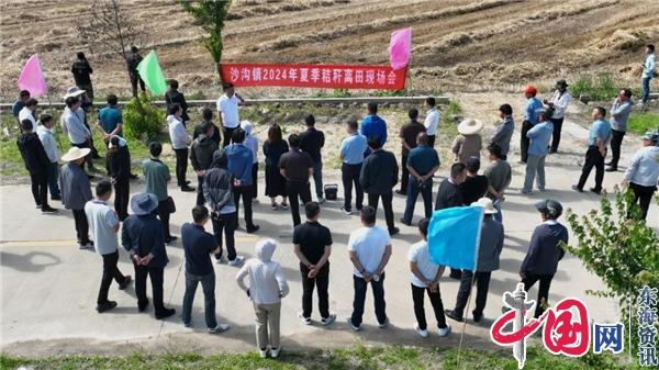 兴化市沙沟镇召开夏季秸秆离田现场观摩会