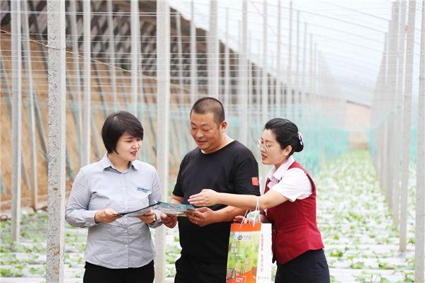 践行大食物观 兴业银行助力“产供销”念好“山海经”