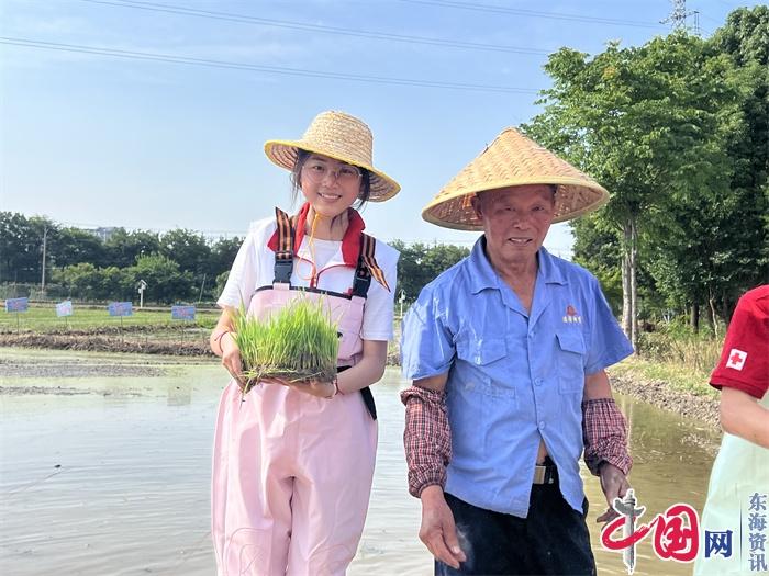 “粽”享野趣 共植美好丨宜兴市红十字会开展端午节农耕文化体验活动