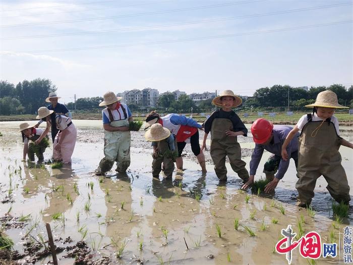 “粽”享野趣 共植美好丨宜兴市红十字会开展端午节农耕文化体验活动