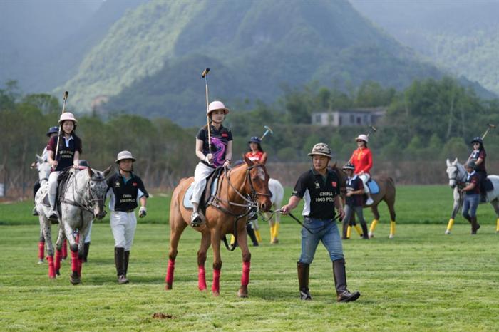 100匹阿根廷马球马入驻重庆仙女山 世界首个女子马球俱乐部即将开业