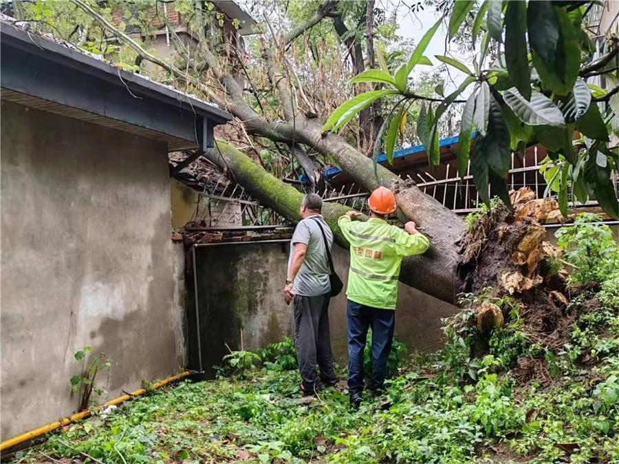 鼓楼区城管局：风雨中 为市民出行安全保驾护航