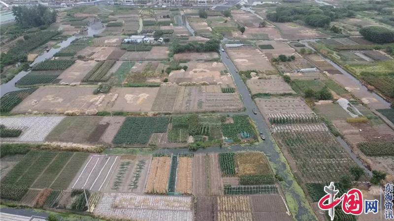 人大垛田街道工委开展全域秸秆离田督查工作