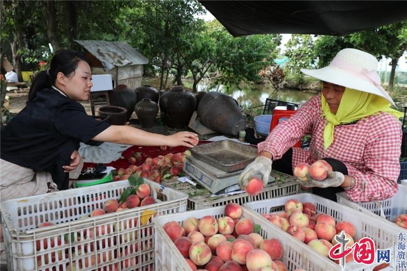 曹纯：为民服务 勤政廉政