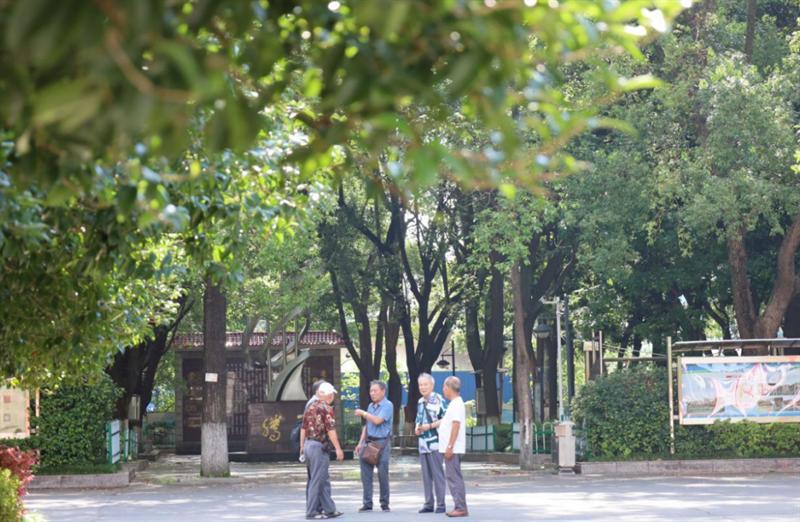 惜别母校六十载 重逢再叙同窗情——衡阳市六中喜迎1964届校友回家