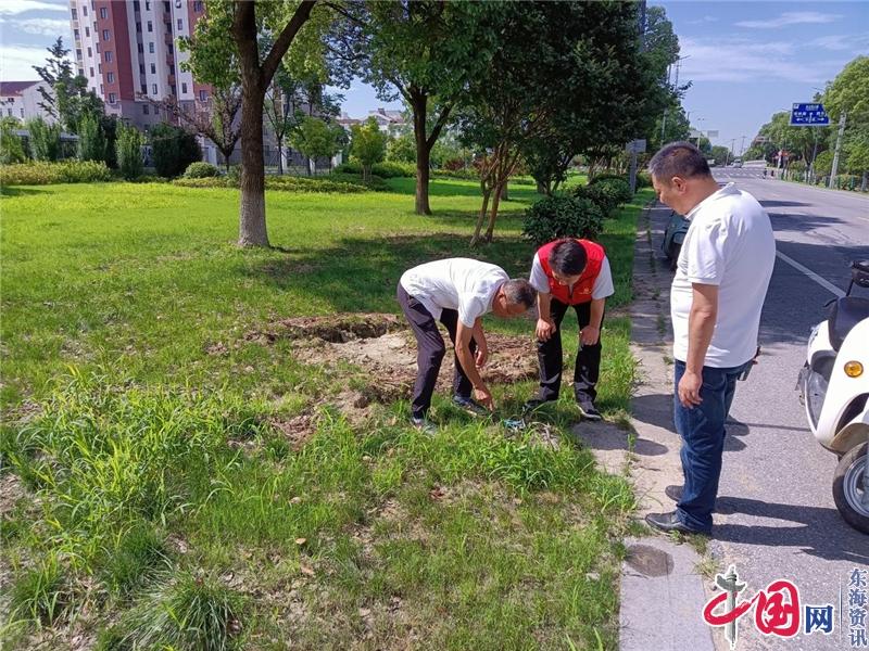 苏州相城经开区寺泾社区：红心系网格 点亮回家路