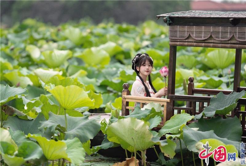 苏州黄桥街道：小暑时节 来觅一份城市喧嚣中的风雅