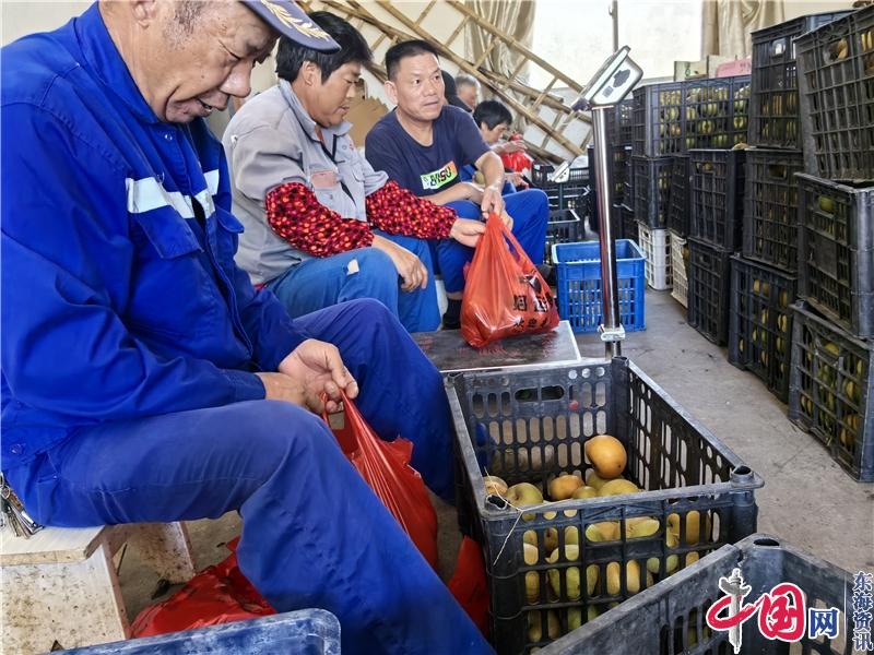 宜兴官林“千亿级乡镇”的另一面——工业重镇的鲜果飘香