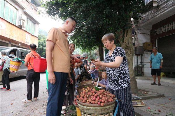 荔枝上市旺季 人大代表当好销售“红娘”