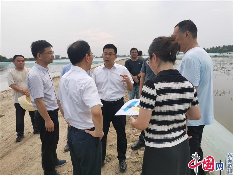 农产品专项整治在行动——江苏省农业农村厅来兴化沙沟调研农产品质量安全工作