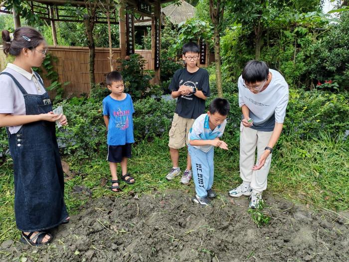 打破课本局限 为孩子种下知识新苗——四川农业大学的雏菊环保支教团在成都万寿镇开展支教活动