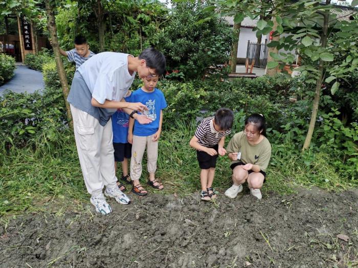 耕读助力乡村振兴——四川农业大学雏菊支教团在成都万寿镇开展耕读教育