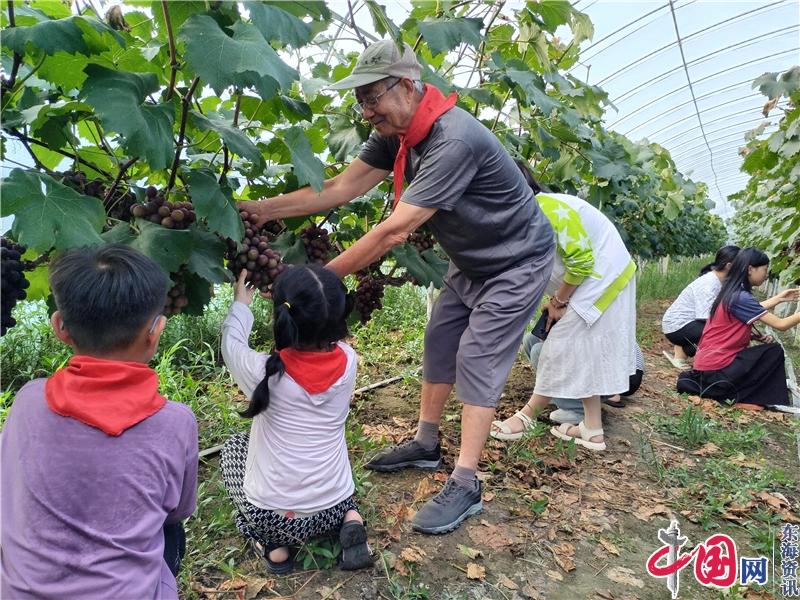 兴化市安丰镇姚林洪家庭校外教育辅导站走进葡萄园开展暑期社会实践课堂