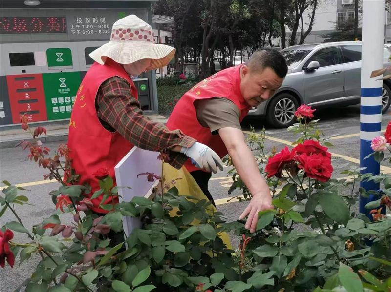 南通崇川：汇聚“网智”力量 擦亮民生幸福底色